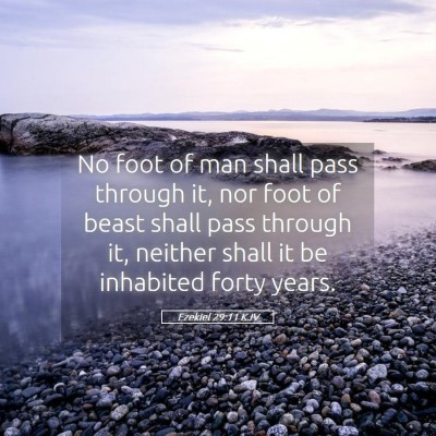 Picture 05 - Ezekiel 29:11 KJV - No foot of man shall pass through it, nor foot of - Bible Verse Picture