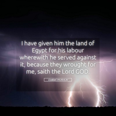 Picture 05 - Ezekiel 29:20 KJV - I have given him the land of Egypt for his labour - Bible Verse Picture