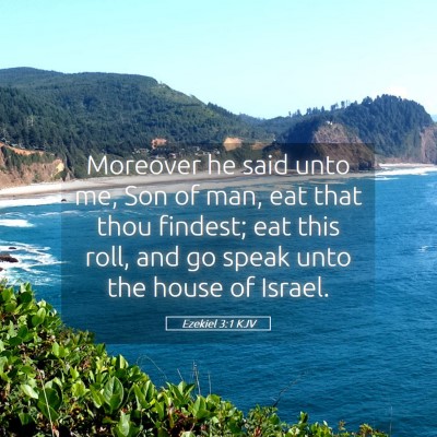 Picture 05 - Ezekiel 3:1 KJV - Moreover he said unto me, Son of man, eat that - Bible Verse Picture