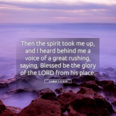 Picture 05 - Ezekiel 3:12 KJV - Then the spirit took me up, and I heard behind me - Bible Verse Picture