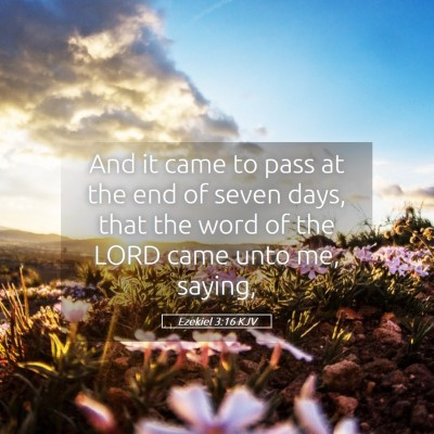 Picture 05 - Ezekiel 3:16 KJV - And it came to pass at the end of seven days, - Bible Verse Picture