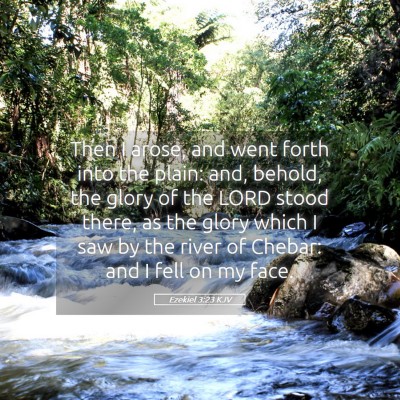 Picture 05 - Ezekiel 3:23 KJV - Then I arose, and went forth into the plain: and, - Bible Verse Picture