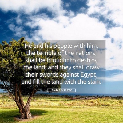 Picture 05 - Ezekiel 30:11 KJV - He and his people with him, the terrible of the - Bible Verse Picture