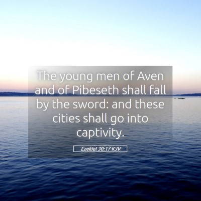 Picture 05 - Ezekiel 30:17 KJV - The young men of Aven and of Pibeseth shall fall - Bible Verse Picture