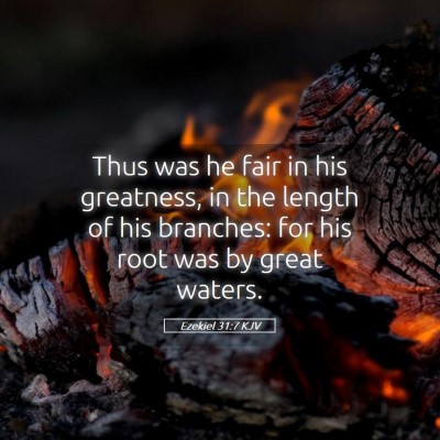 Picture 05 - Ezekiel 31:7 KJV - Thus was he fair in his greatness, in the length - Bible Verse Picture