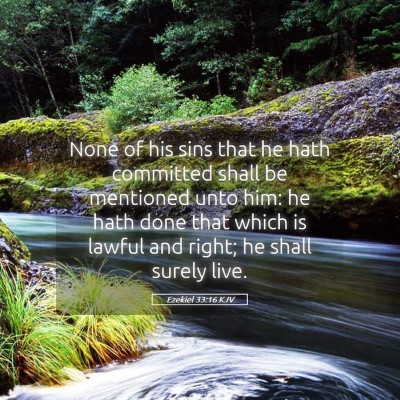 Picture 05 - Ezekiel 33:16 KJV - None of his sins that he hath committed shall be - Bible Verse Picture