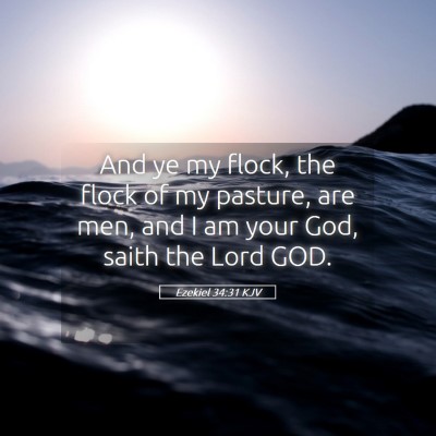 Picture 05 - Ezekiel 34:31 KJV - And ye my flock, the flock of my pasture, are - Bible Verse Picture