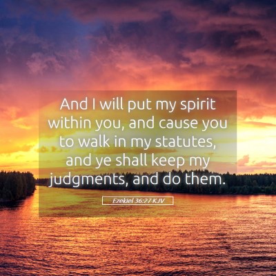 Picture 05 - Ezekiel 36:27 KJV - And I will put my spirit within you, and cause - Bible Verse Picture