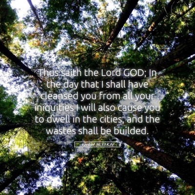 Picture 05 - Ezekiel 36:33 KJV - Thus saith the Lord GOD; In the day that I shall - Bible Verse Picture