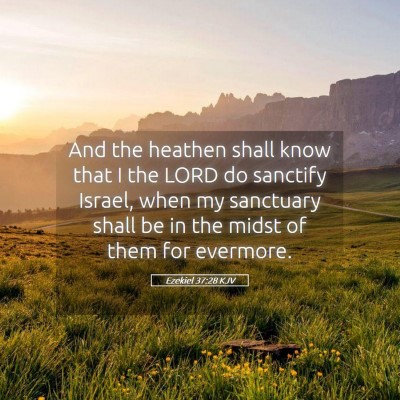 Picture 05 - Ezekiel 37:28 KJV - And the heathen shall know that I the LORD do - Bible Verse Picture