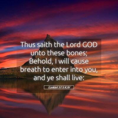 Picture 05 - Ezekiel 37:5 KJV - Thus saith the Lord GOD unto these bones; Behold, - Bible Verse Picture