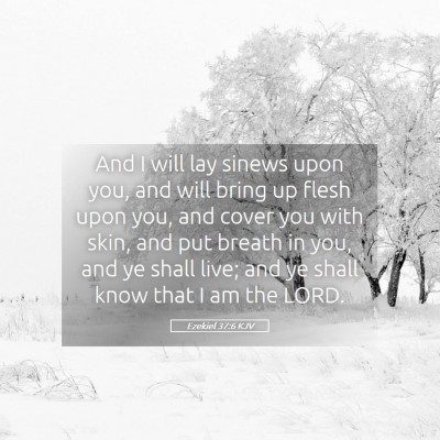 Picture 05 - Ezekiel 37:6 KJV - And I will lay sinews upon you, and will bring up - Bible Verse Picture
