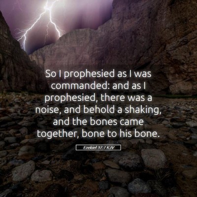 Picture 05 - Ezekiel 37:7 KJV - So I prophesied as I was commanded: and as I - Bible Verse Picture