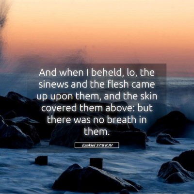 Picture 05 - Ezekiel 37:8 KJV - And when I beheld, lo, the sinews and the flesh - Bible Verse Picture