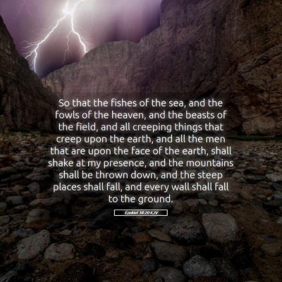 Picture 05 - Ezekiel 38:20 KJV - So that the fishes of the sea, and the fowls of - Bible Verse Picture