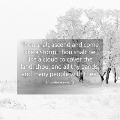 Picture 05 - Ezekiel 38:9 KJV - Thou shalt ascend and come like a storm, thou - Bible Verse Picture