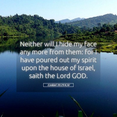 Picture 05 - Ezekiel 39:29 KJV - Neither will I hide my face any more from them: - Bible Verse Picture