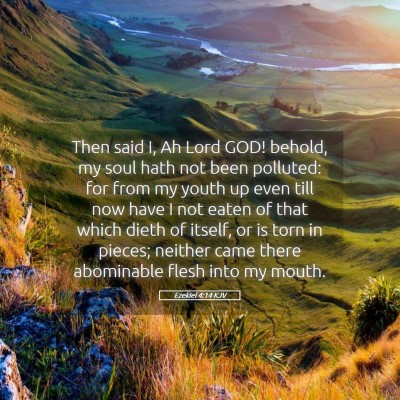 Picture 05 - Ezekiel 4:14 KJV - Then said I, Ah Lord GOD! behold, my soul hath - Bible Verse Picture