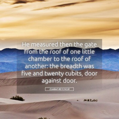 Picture 05 - Ezekiel 40:13 KJV - He measured then the gate from the roof of one - Bible Verse Picture
