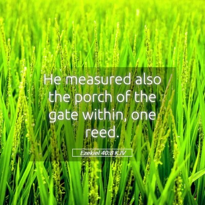 Picture 05 - Ezekiel 40:8 KJV - He measured also the porch of the gate within, - Bible Verse Picture