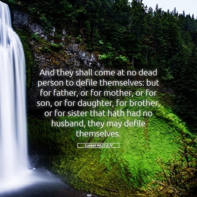 Picture 05 - Ezekiel 44:25 KJV - And they shall come at no dead person to defile - Bible Verse Picture
