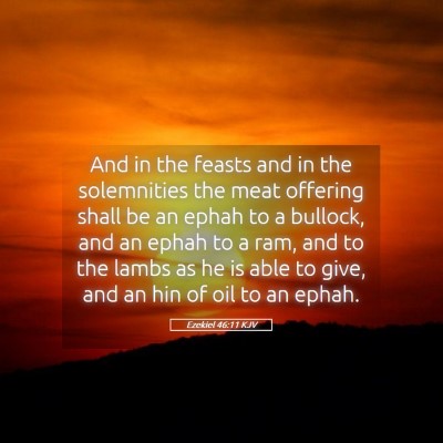 Picture 05 - Ezekiel 46:11 KJV - And in the feasts and in the solemnities the meat - Bible Verse Picture