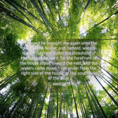 Picture 05 - Ezekiel 47:1 KJV - Afterward he brought me again unto the door of - Bible Verse Picture
