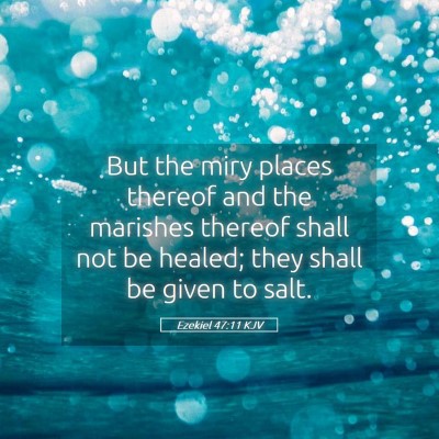 Picture 05 - Ezekiel 47:11 KJV - But the miry places thereof and the marishes - Bible Verse Picture