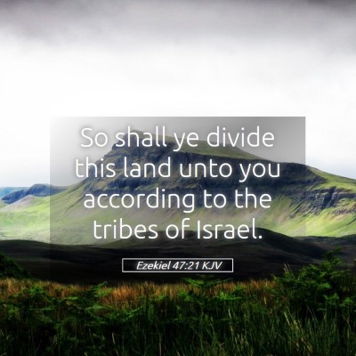 Picture 05 - Ezekiel 47:21 KJV - So shall ye divide this land unto you according - Bible Verse Picture