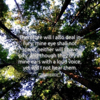 Picture 05 - Ezekiel 8:18 KJV - Therefore will I also deal in fury: mine eye - Bible Verse Picture