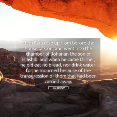 Picture 05 - Ezra 10:6 KJV - Then Ezra rose up from before the house of God, - Bible Verse Picture