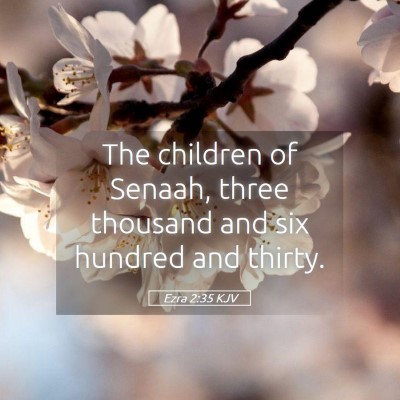 Picture 05 - Ezra 2:35 KJV - The children of Senaah, three thousand and six - Bible Verse Picture