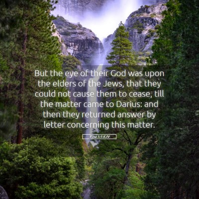 Picture 05 - Ezra 5:5 KJV - But the eye of their God was upon the elders of - Bible Verse Picture