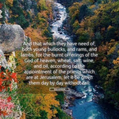 Picture 05 - Ezra 6:9 KJV - And that which they have need of, both young - Bible Verse Picture