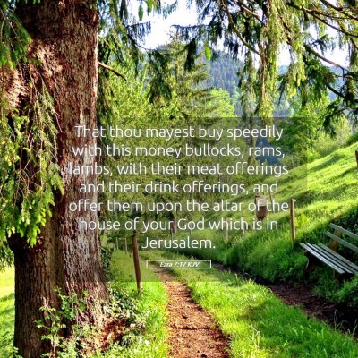 Picture 05 - Ezra 7:17 KJV - That thou mayest buy speedily with this money - Bible Verse Picture