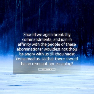Picture 05 - Ezra 9:14 KJV - Should we again break thy commandments, and join - Bible Verse Picture