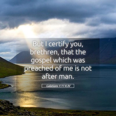 Picture 05 - Galatians 1:11 KJV - But I certify you, brethren, that the gospel - Bible Verse Picture