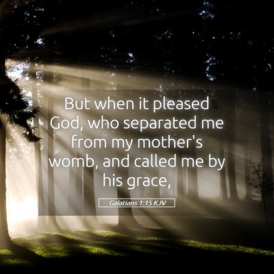 Picture 05 - Galatians 1:15 KJV - But when it pleased God, who separated me from my - Bible Verse Picture