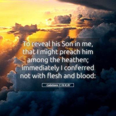 Picture 05 - Galatians 1:16 KJV - To reveal his Son in me, that I might preach him - Bible Verse Picture