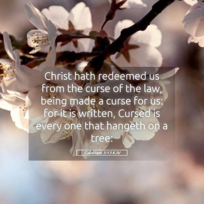 Picture 05 - Galatians 3:13 KJV - Christ hath redeemed us from the curse of the - Bible Verse Picture
