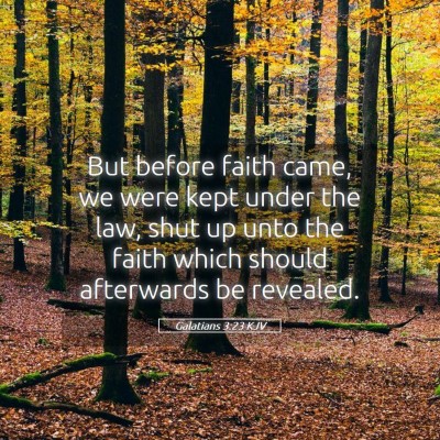 Picture 05 - Galatians 3:23 KJV - But before faith came, we were kept under the - Bible Verse Picture