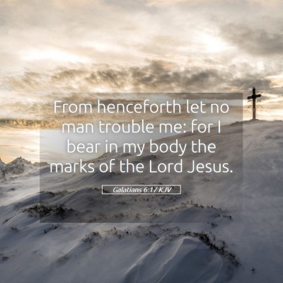 Picture 05 - Galatians 6:17 KJV - From henceforth let no man trouble me: for I bear - Bible Verse Picture