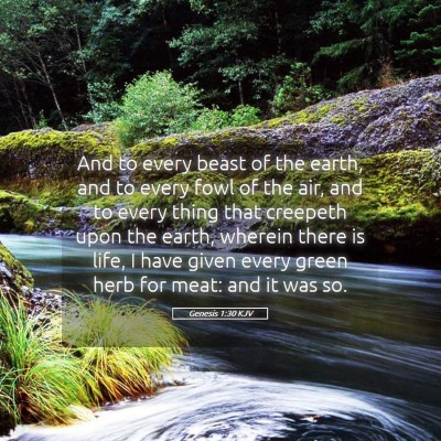 Picture 05 - Genesis 1:30 KJV - And to every beast of the earth, and to every - Bible Verse Picture