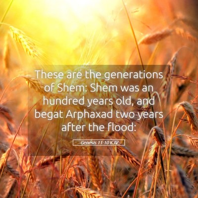 Picture 05 - Genesis 11:10 KJV - These are the generations of Shem: Shem was an - Bible Verse Picture