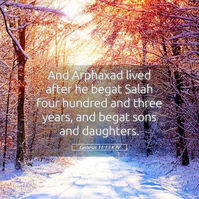Picture 05 - Genesis 11:13 KJV - And Arphaxad lived after he begat Salah four - Bible Verse Picture