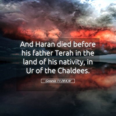 Picture 05 - Genesis 11:28 KJV - And Haran died before his father Terah in the - Bible Verse Picture