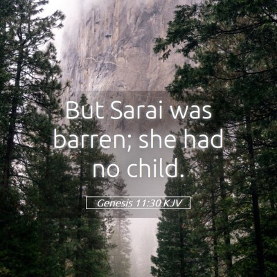 Picture 05 - Genesis 11:30 KJV - But Sarai was barren; she had no - Bible Verse Picture