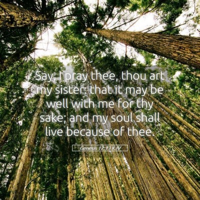 Picture 05 - Genesis 12:13 KJV - Say, I pray thee, thou art my sister: that it may - Bible Verse Picture