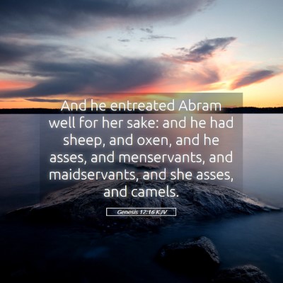 Picture 05 - Genesis 12:16 KJV - And he entreated Abram well for her sake: and he - Bible Verse Picture