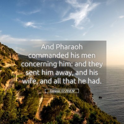 Picture 05 - Genesis 12:20 KJV - And Pharaoh commanded his men concerning him: and - Bible Verse Picture